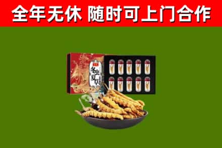 连山回收冬虫夏草价格