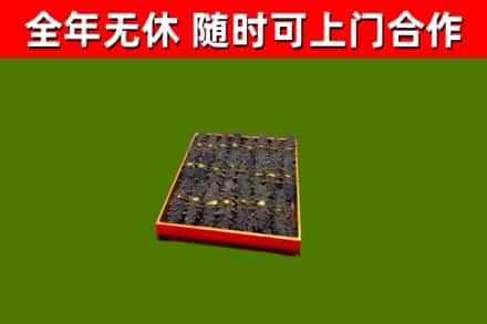 连山烟酒回收海参.jpg